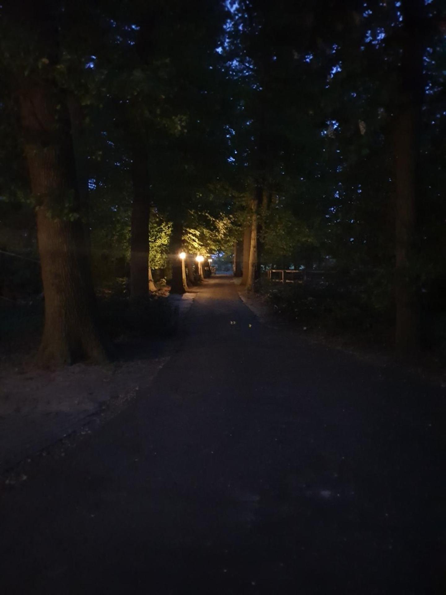 Landgoed De Lavei Bed & Breakfast Weleveld Bagian luar foto