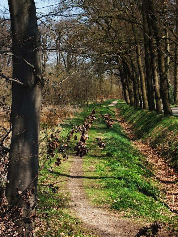 Landgoed De Lavei Bed & Breakfast Weleveld Bagian luar foto