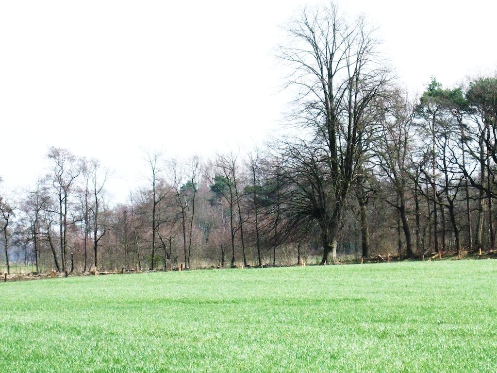 Landgoed De Lavei Bed & Breakfast Weleveld Bagian luar foto