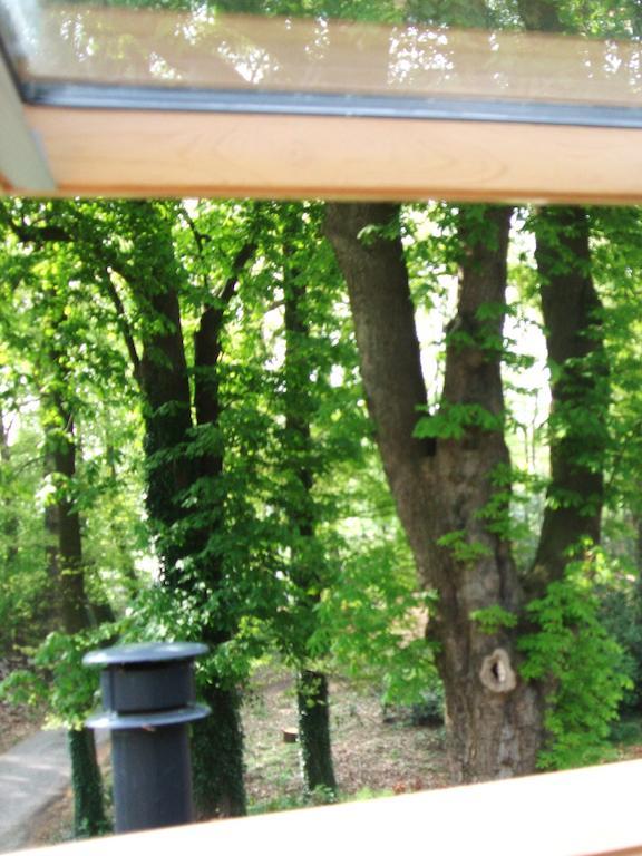 Landgoed De Lavei Bed & Breakfast Weleveld Ruang foto